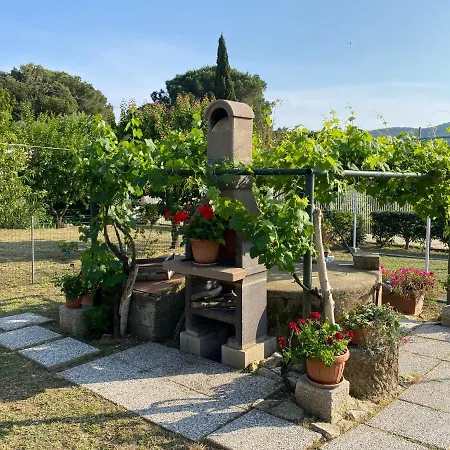 Di Rosa Procchio (Isola d'Elba)