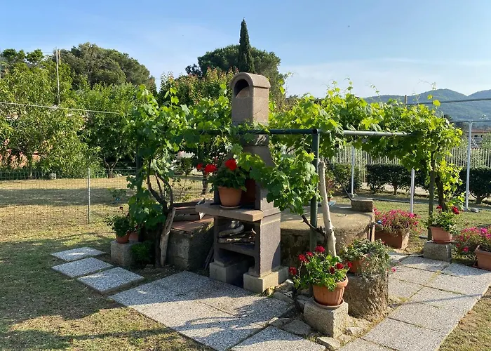 Di Rosa 프로키오